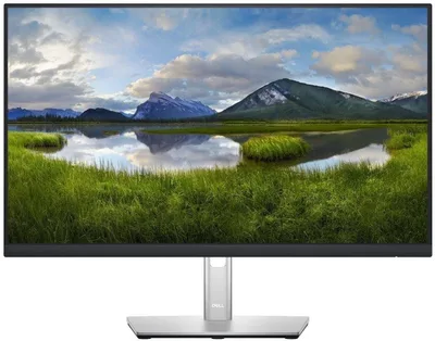 Dell P2422H – 24" monitor