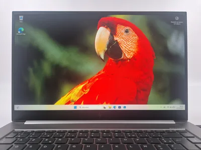 Reálná fotografie – Pracovní stanice HP ZBook Studio G7 – i7-10850H, 32 GB, 512 GB SSD NVMe, Quadro T2000 Max-Q, FHD, Windows 11 Pro