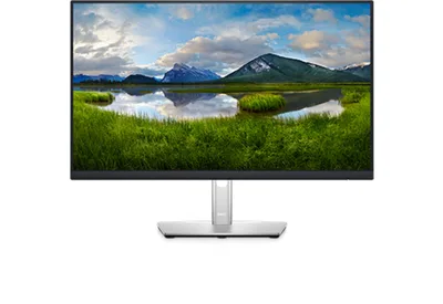 Dell P2422HE – 24" monitor