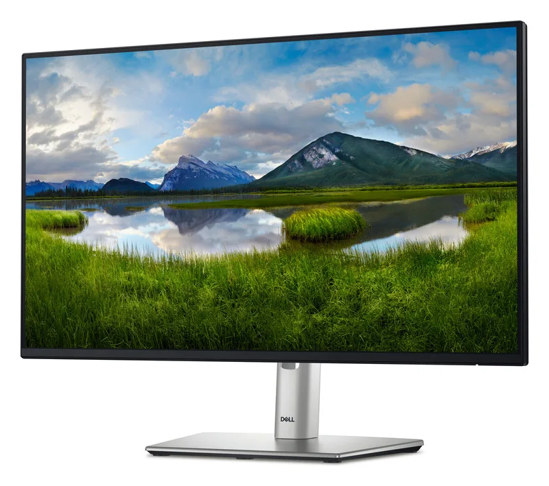 Dell P2425HE