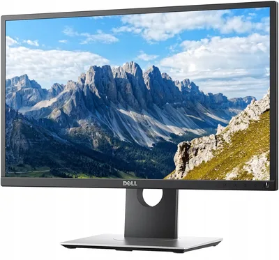 Dell P2317H