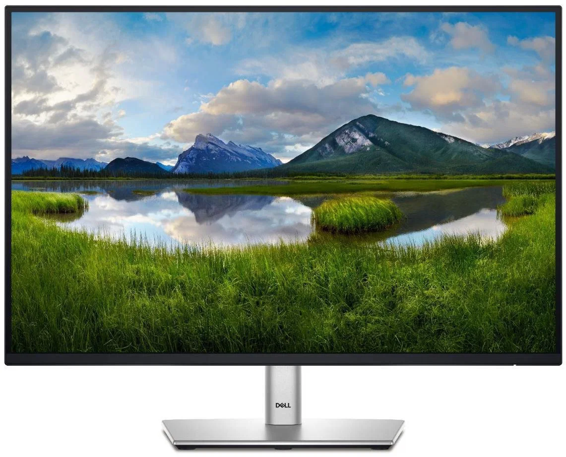 Dell P2425 – 24" monitor
