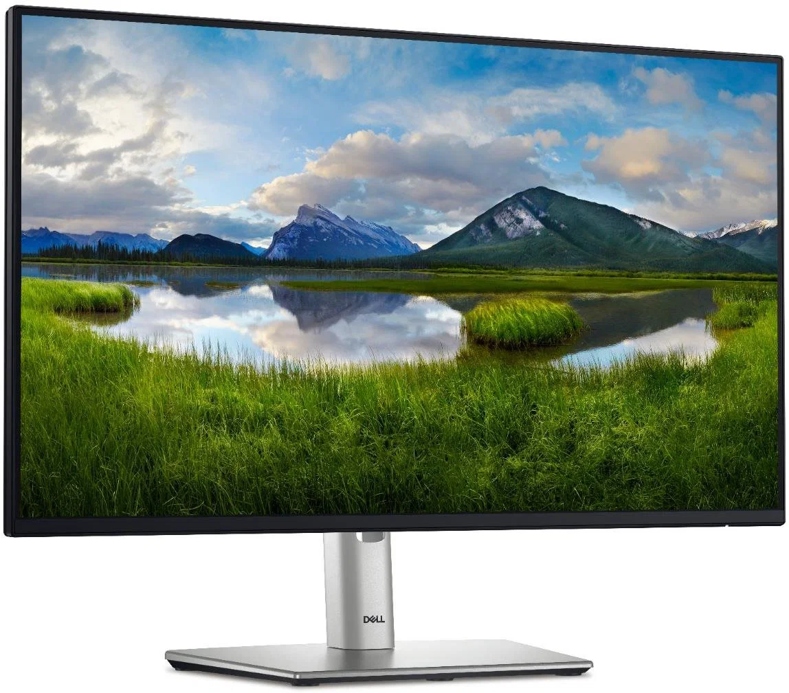 Dell P2425H