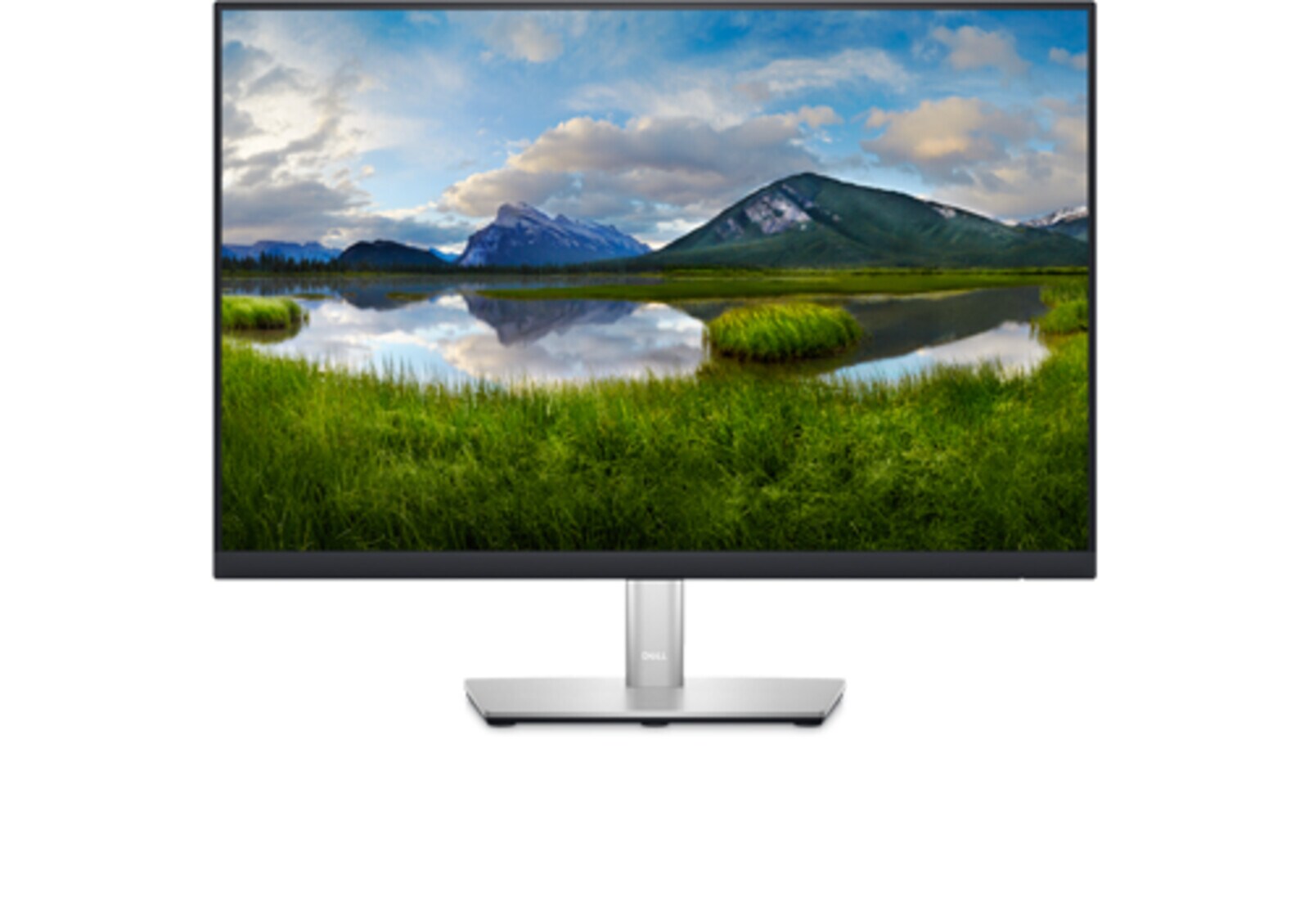 Dell P2423 – 24" monitor