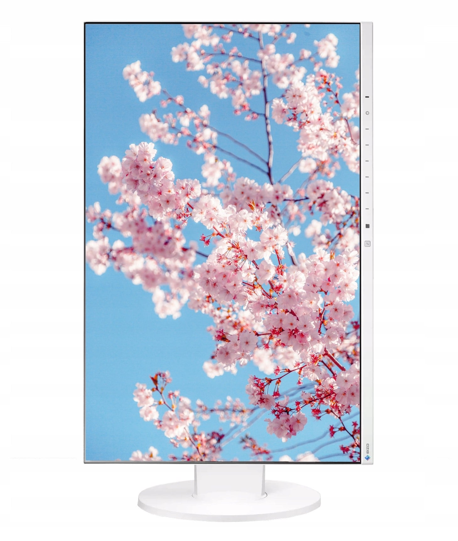 Eizo EV2450