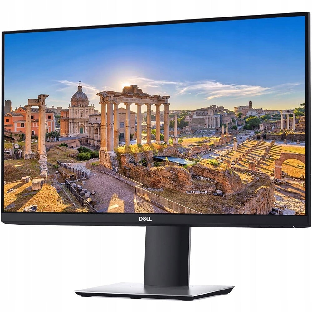 Dell P2419H