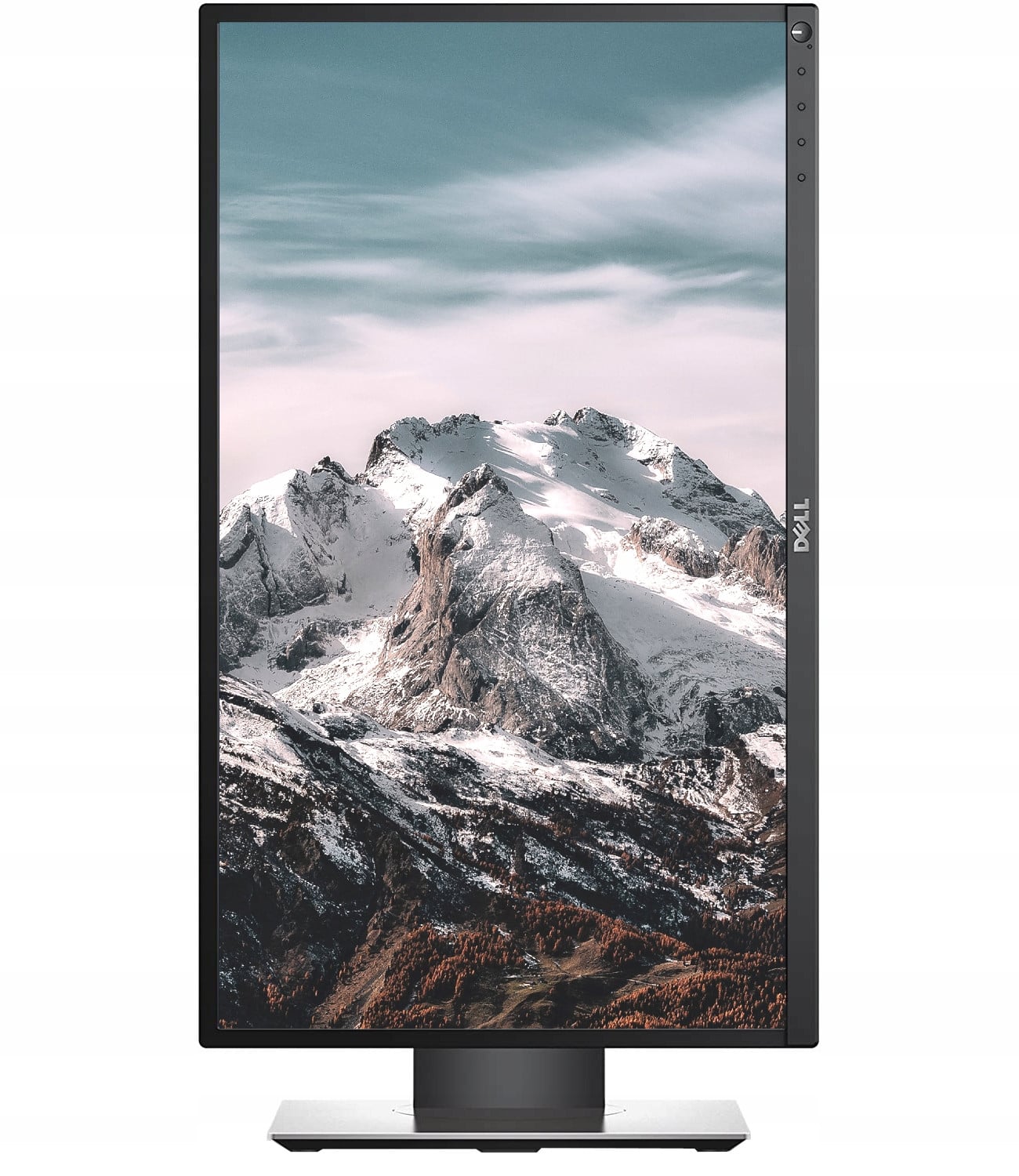 Dell P2317H