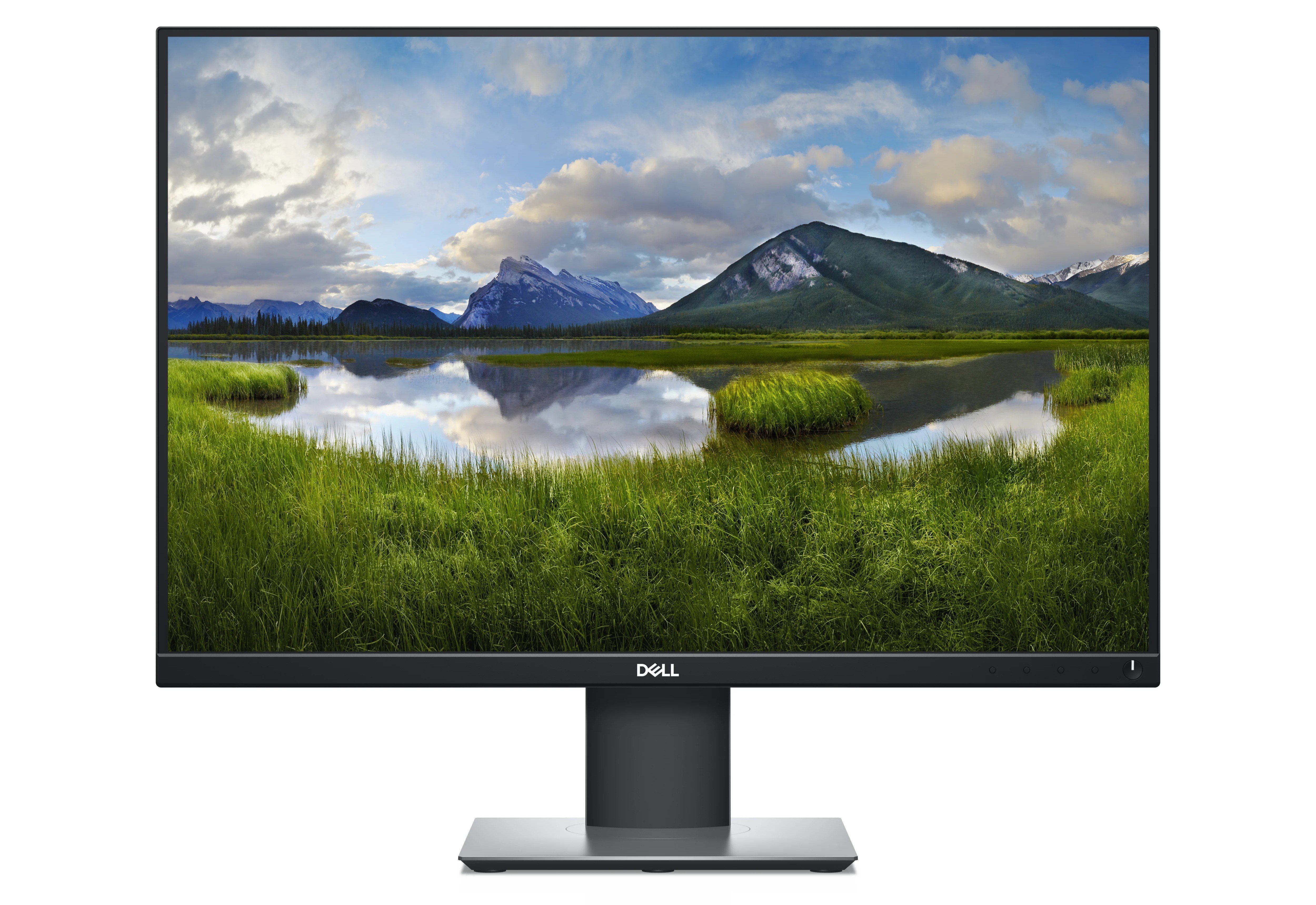 Dell P2421 – 24" monitor